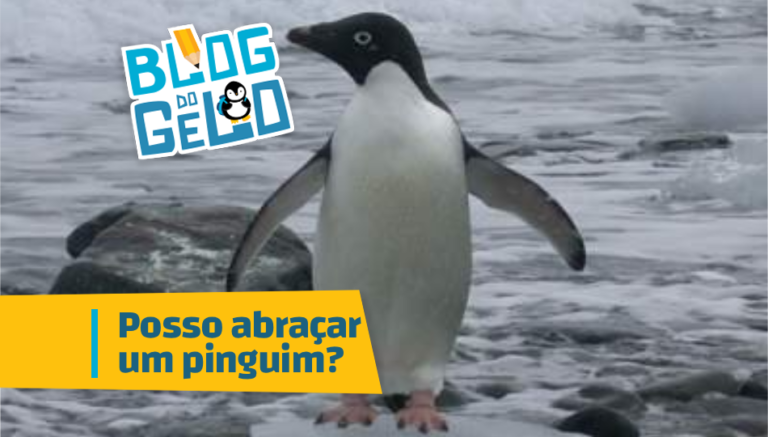 Um pinguim nas rochas da praia da Antártica. Está escrito na imgem: Posso abraçar um pinguim?